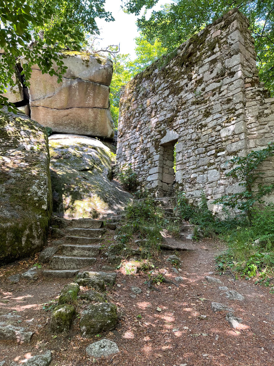 Alte Burg am Waldstein